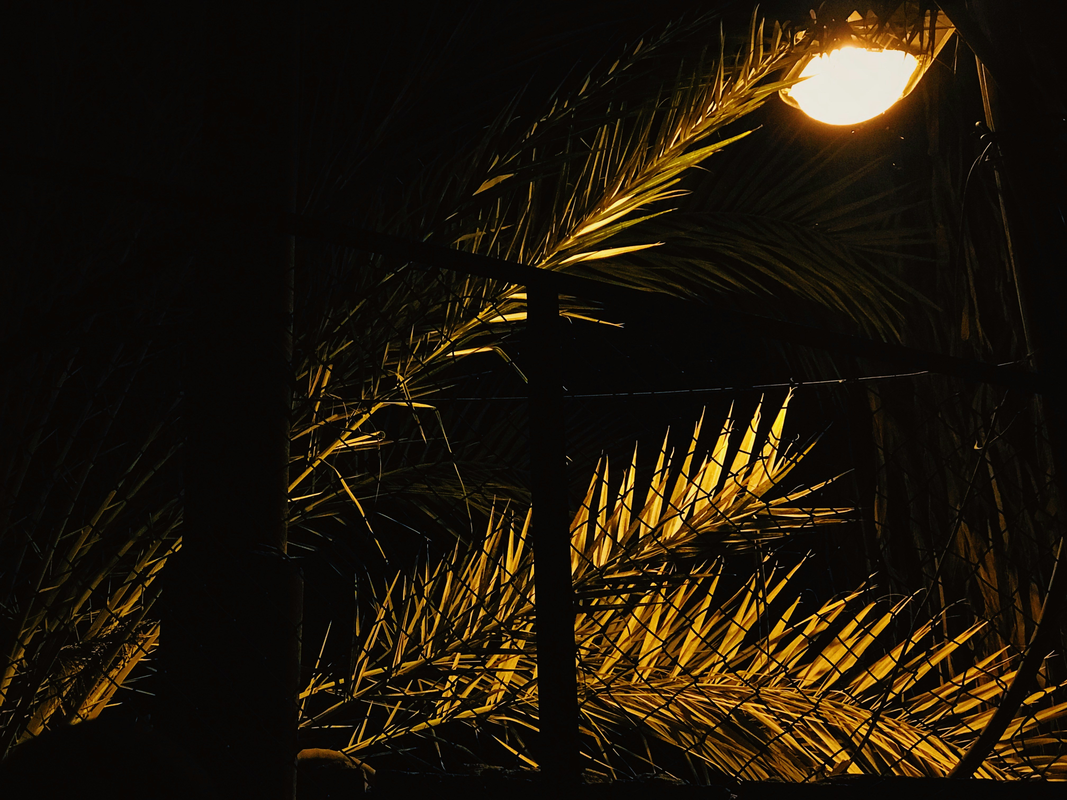 black and white light fixture