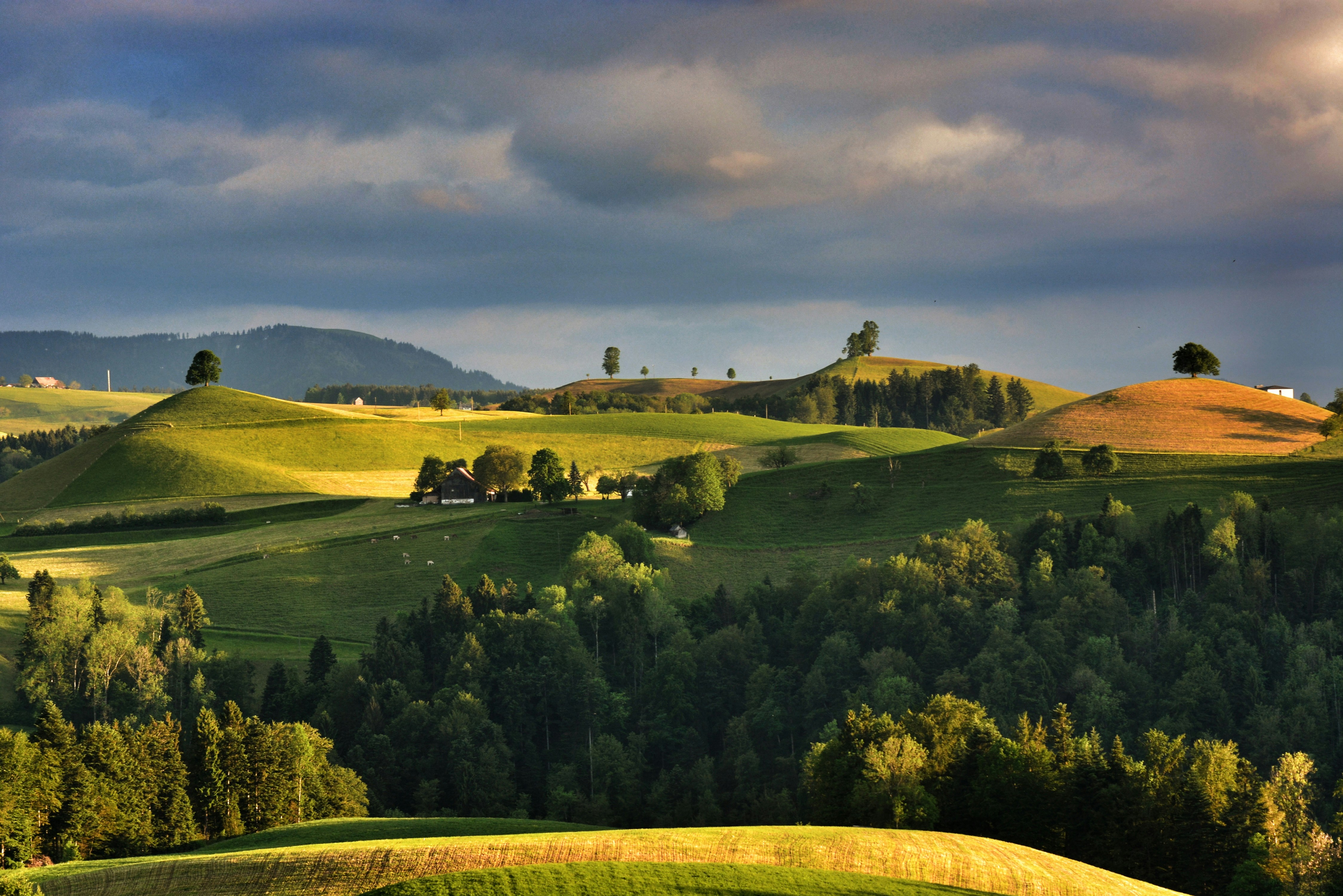 Photo by pedrino5_official