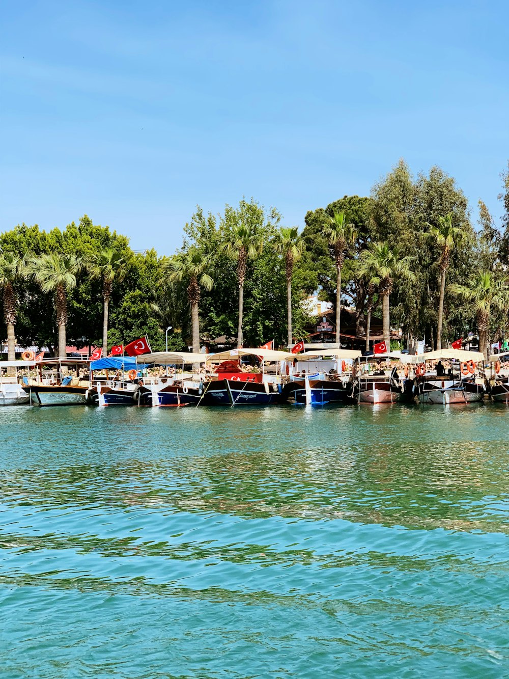 boats on dock during daytime