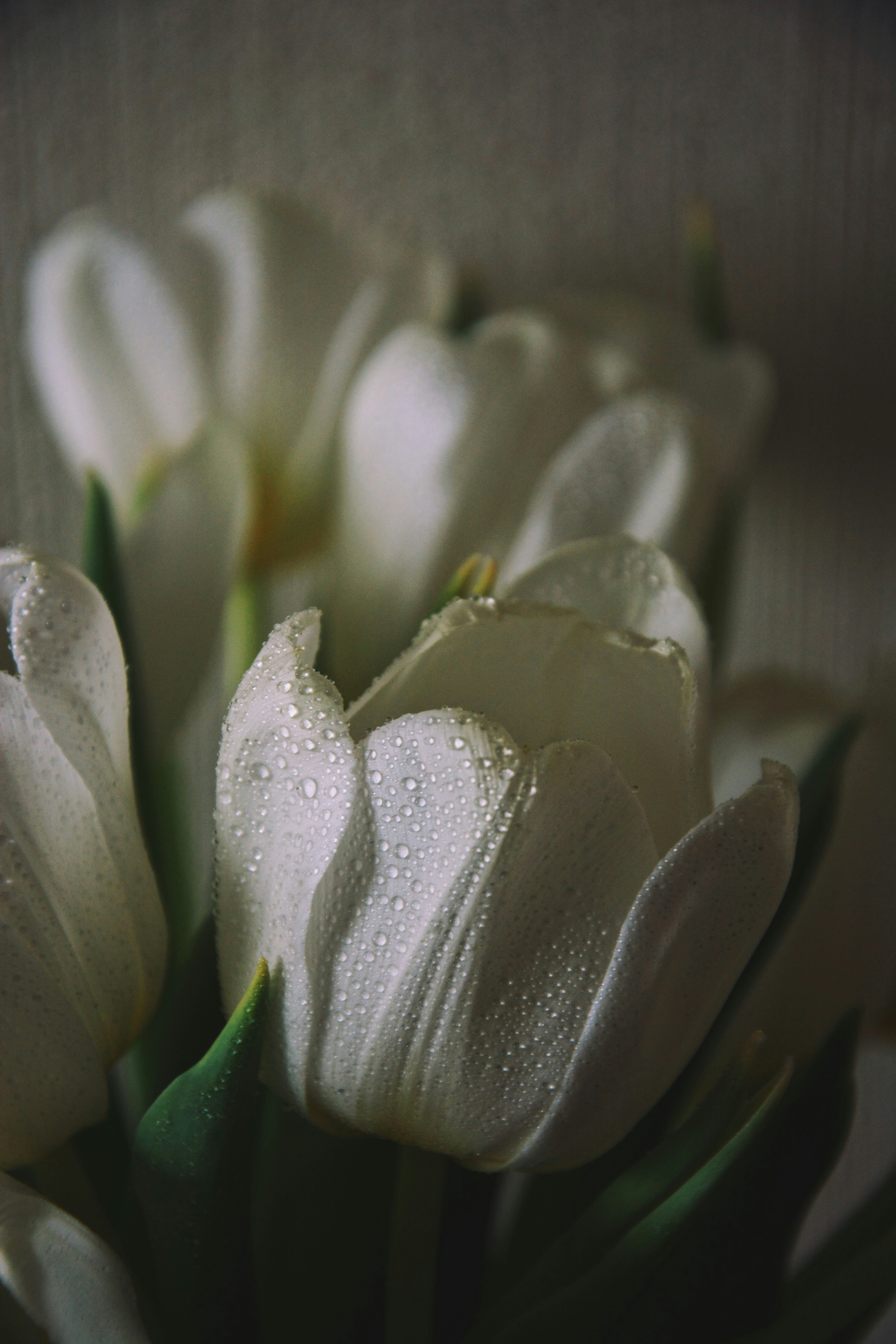 Photo by mrstupachenko