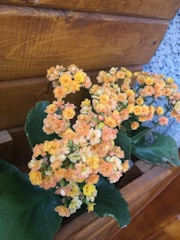 Bright ceramic flowers decorating a planter box in autumn colors.
