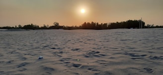 A vast sandy landscape stretches out with gentle undulations, capturing the texture of the sand beneath a setting sun. The horizon is lined with a silhouette of trees and a few sparse structures. The sky is a soft gradient of orange and yellow, enhancing the serene atmosphere.