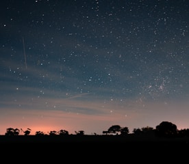 silhouette of trees under blue sky during night time