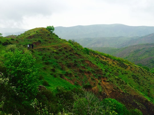 green grass field on mountain during daytime in Shabestar Iran