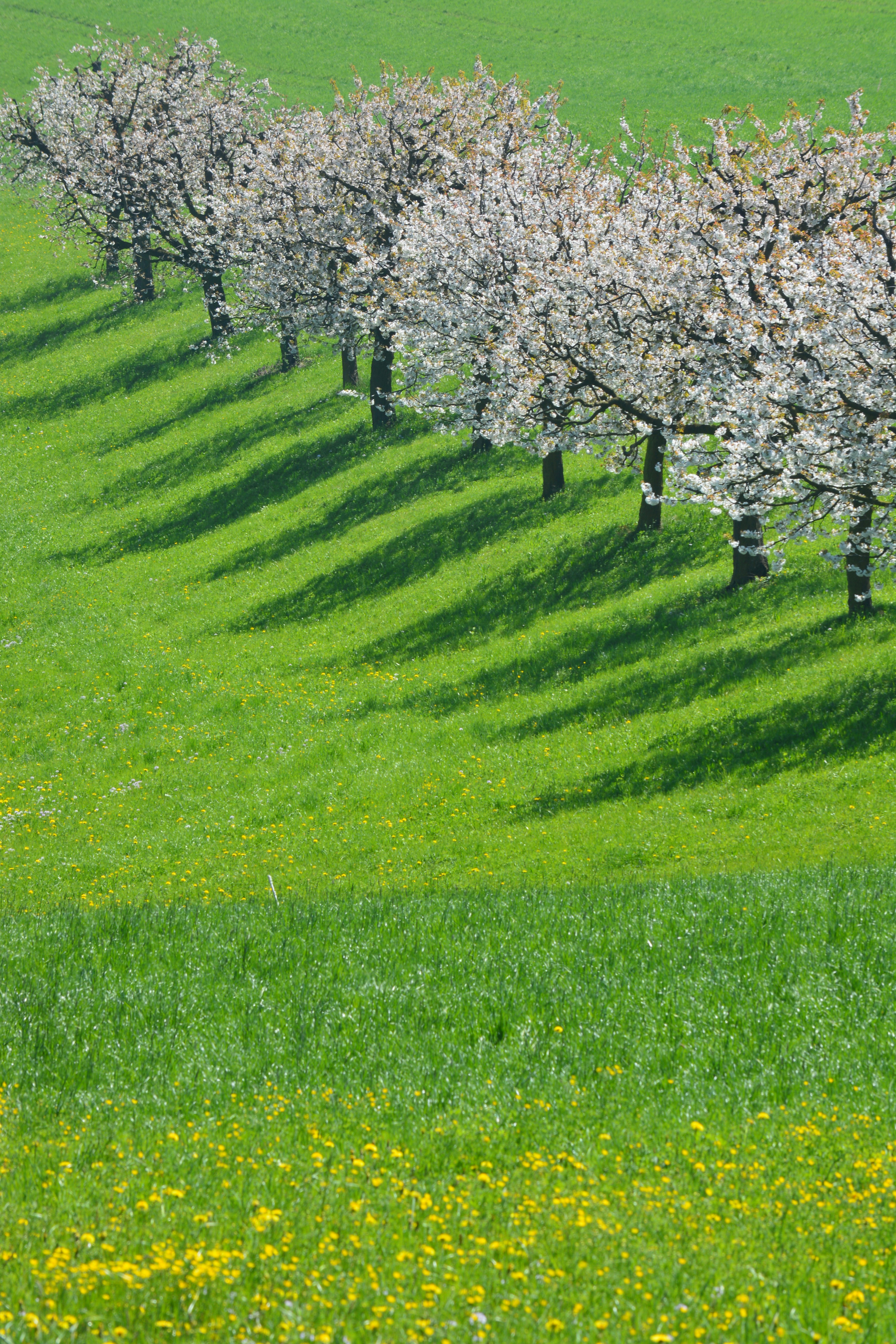 Photo by pedrino5_official