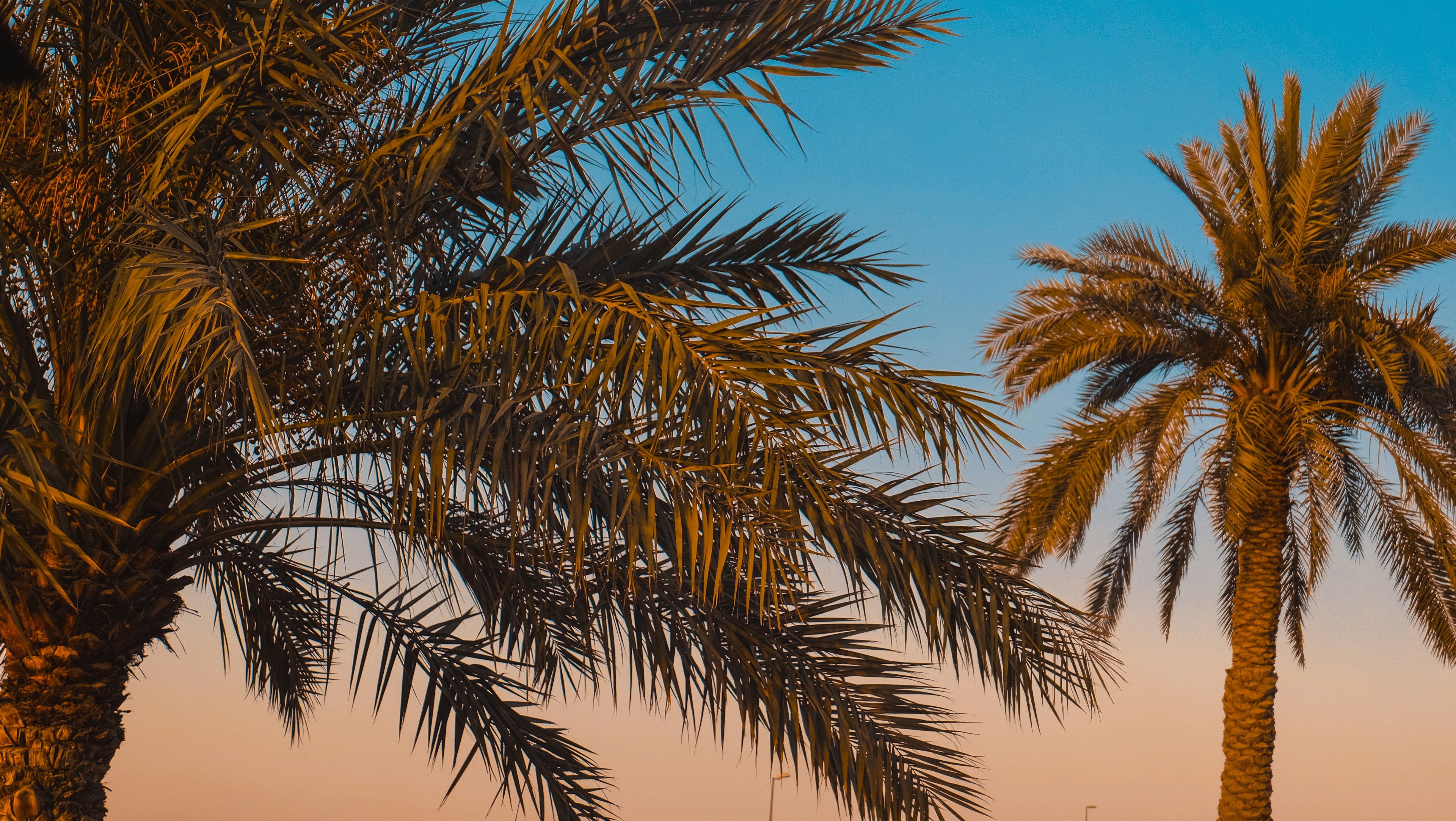 Photo by nicolonimor