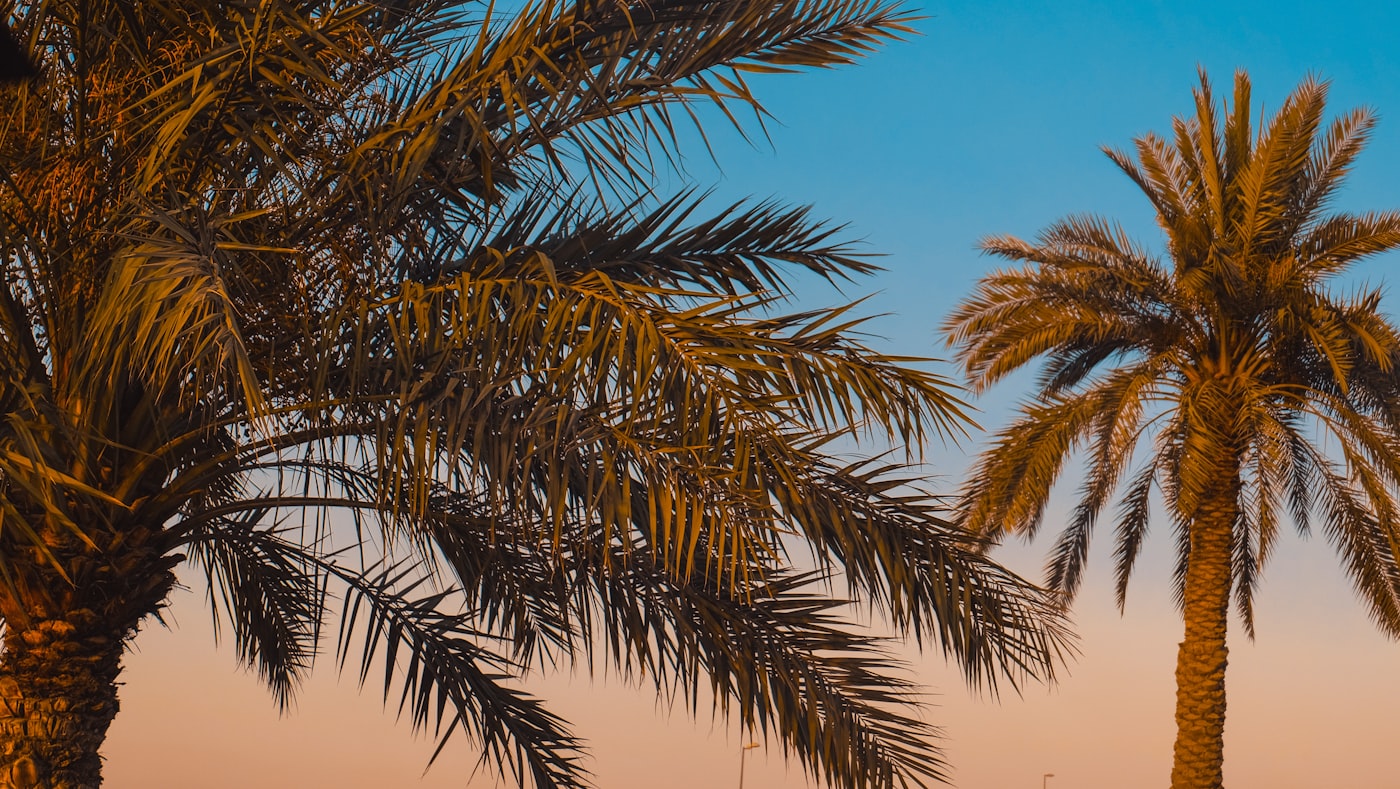 Luxury villa surrounded by lush tropical gardens in Al Barari