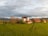 A picturesque countryside scene features a large, white building with a red roof situated on a lush green hill. The landscape includes several other rustic buildings, a few tall trees, and a winding dirt path leading towards the structures. The sky is overcast, casting a soft, diffused light over the scene.