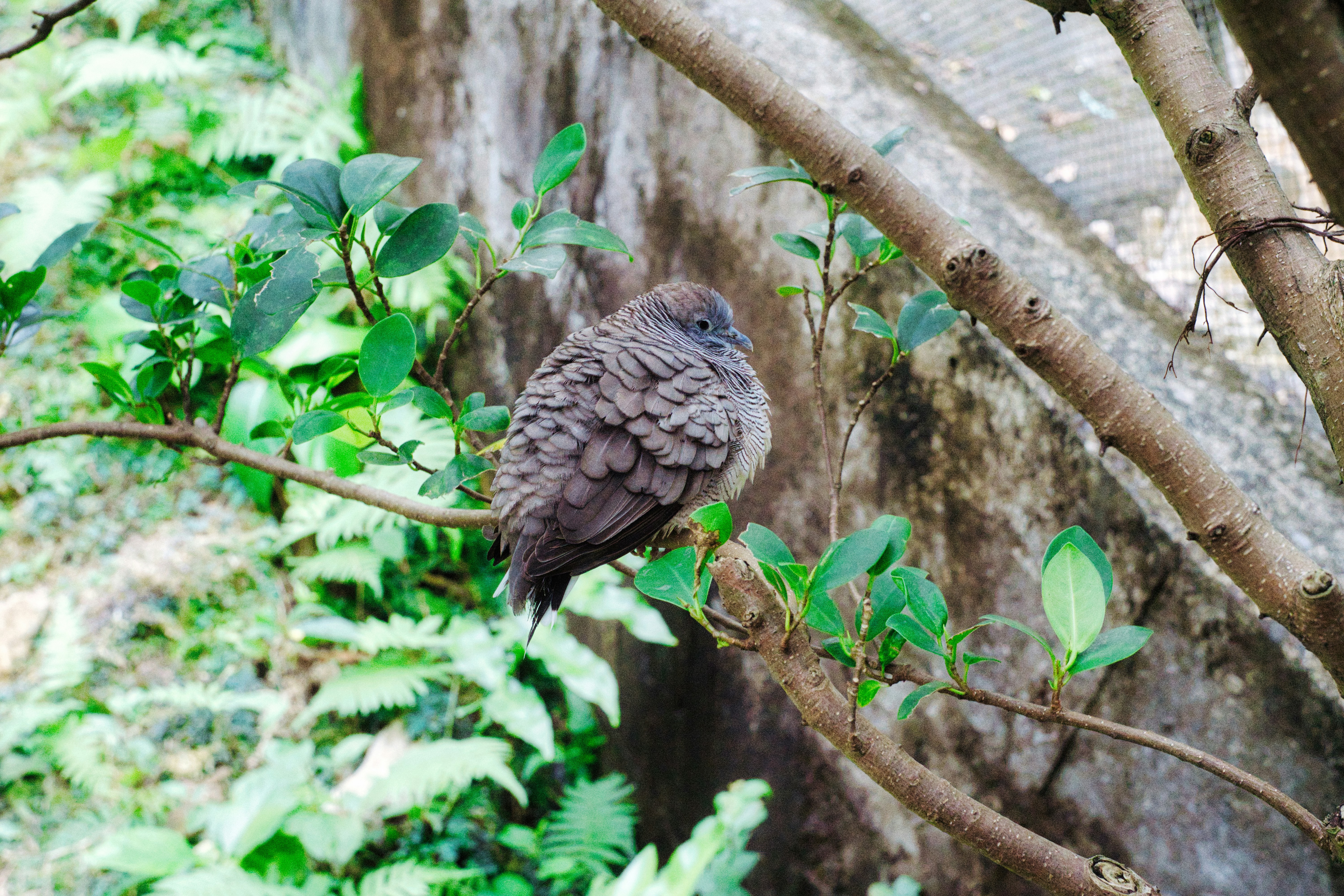 Photo by thomaskinto