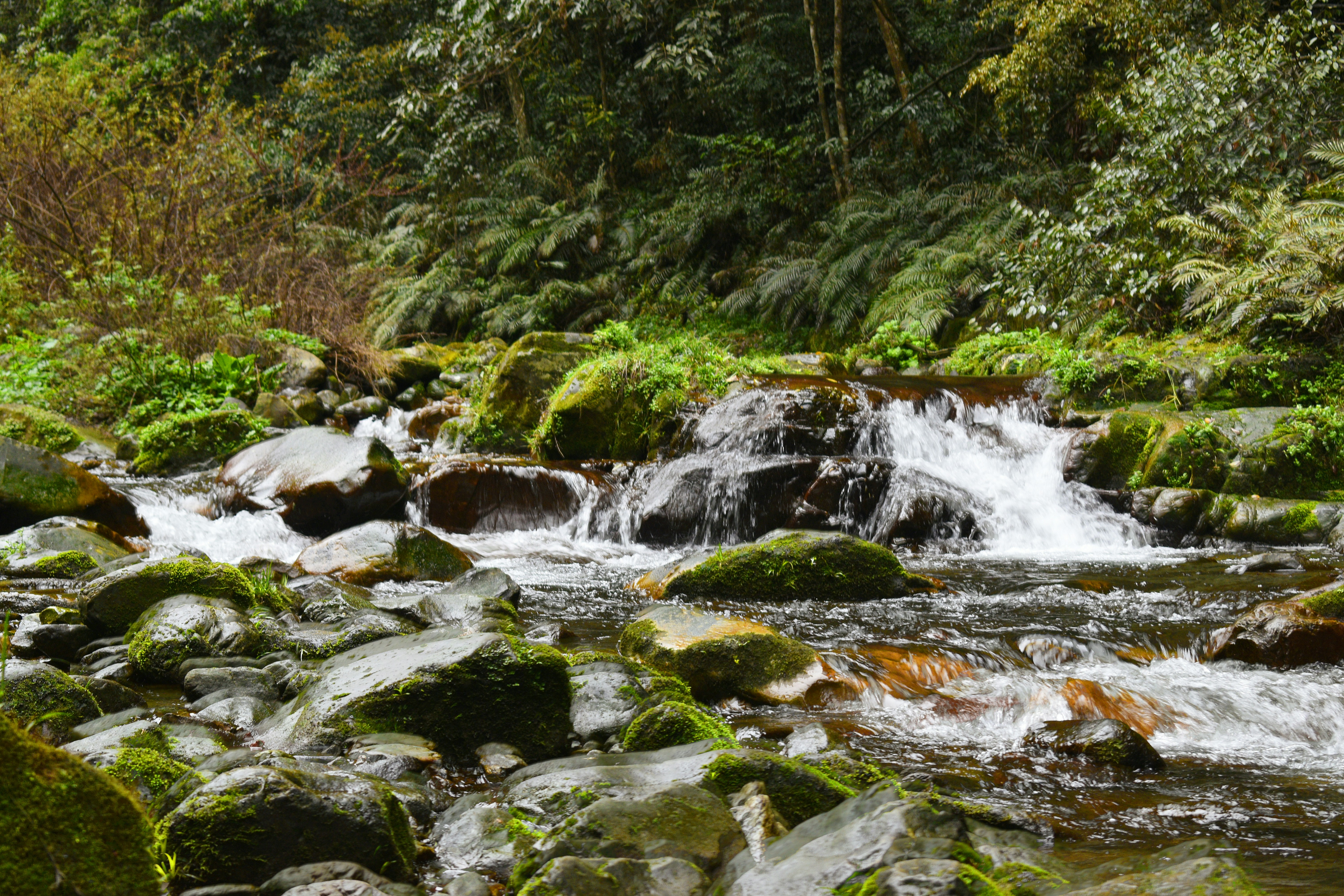 Photo by northern_99