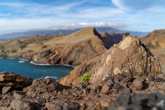 brown rocky mountain beside blue sea under blue sky during daytime in Madeira Portugal