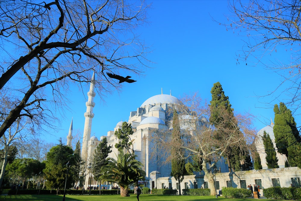 white dome building near bare trees during daytime