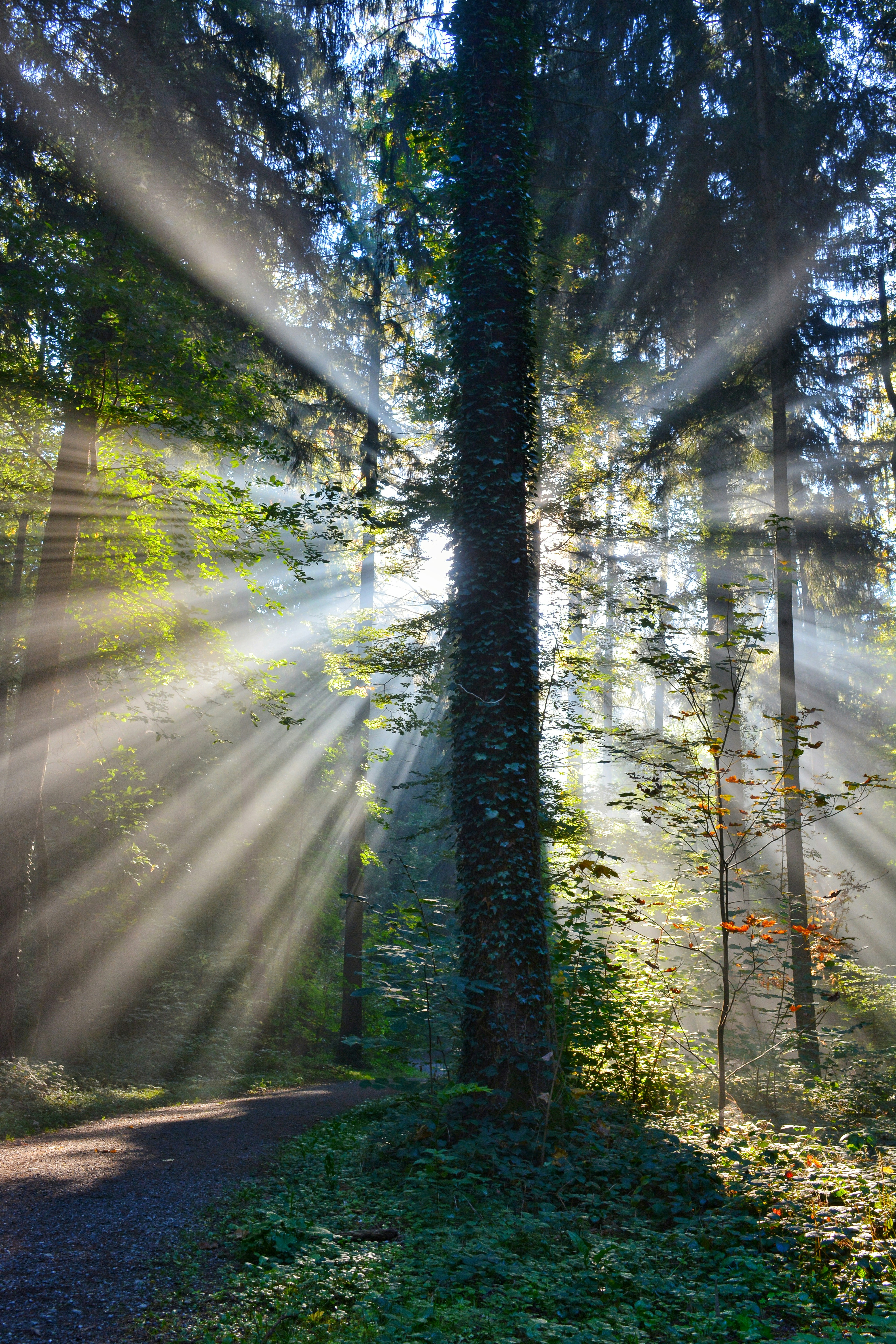 Photo by pedrino5_official