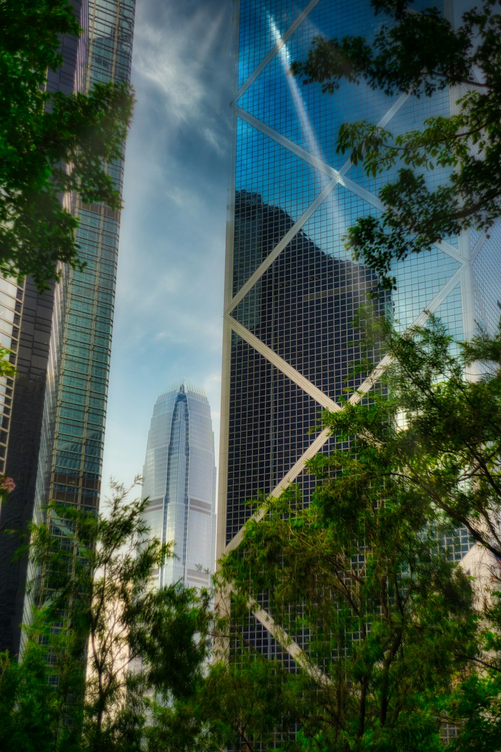 green trees near high rise building during daytime