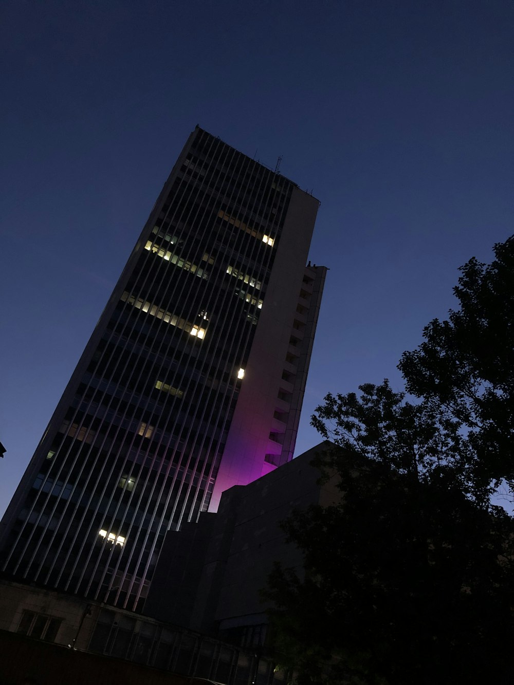 high rise building during night time