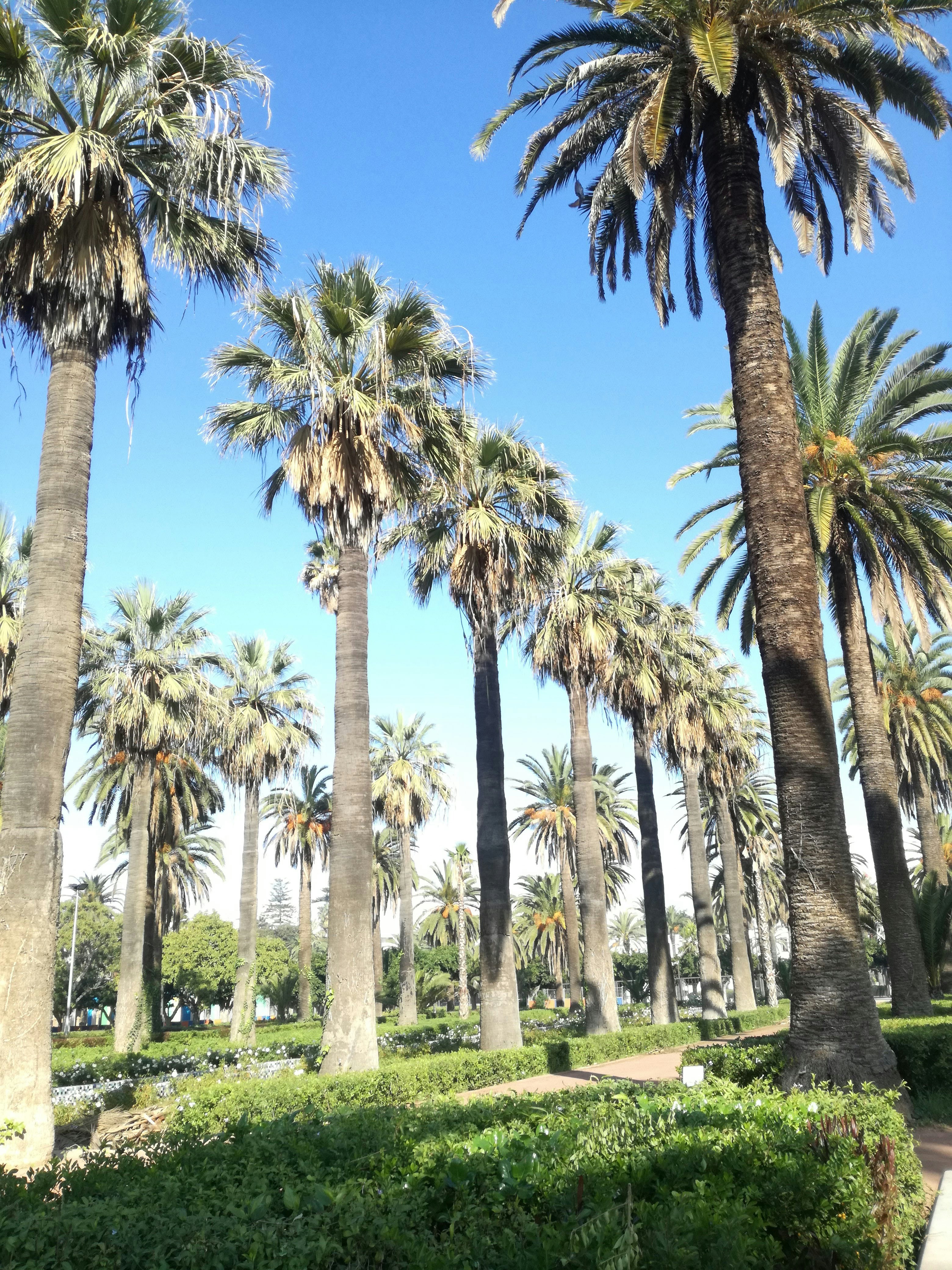 Photo by bouhsiniyoussef