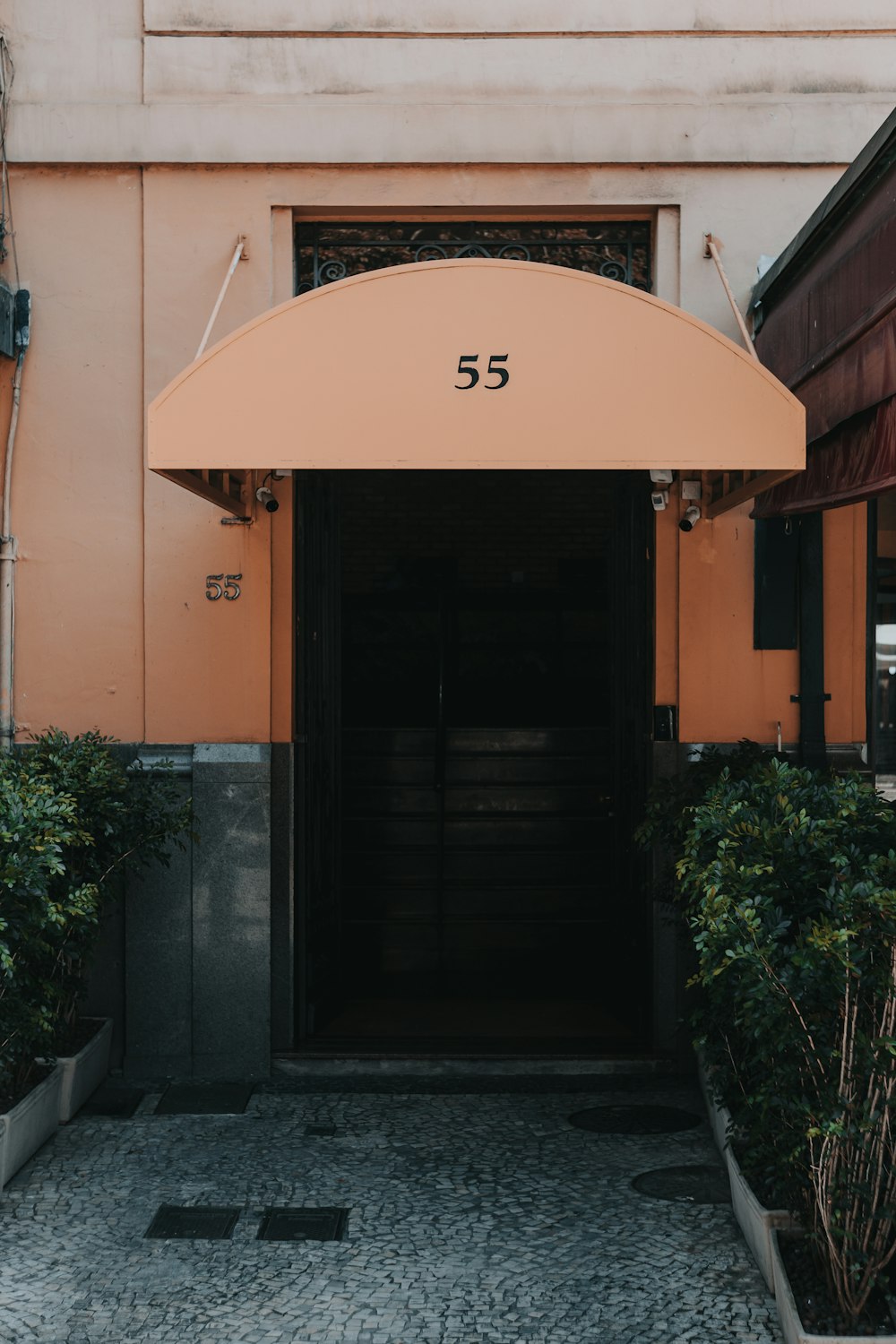 brown wooden door near green plants during daytime