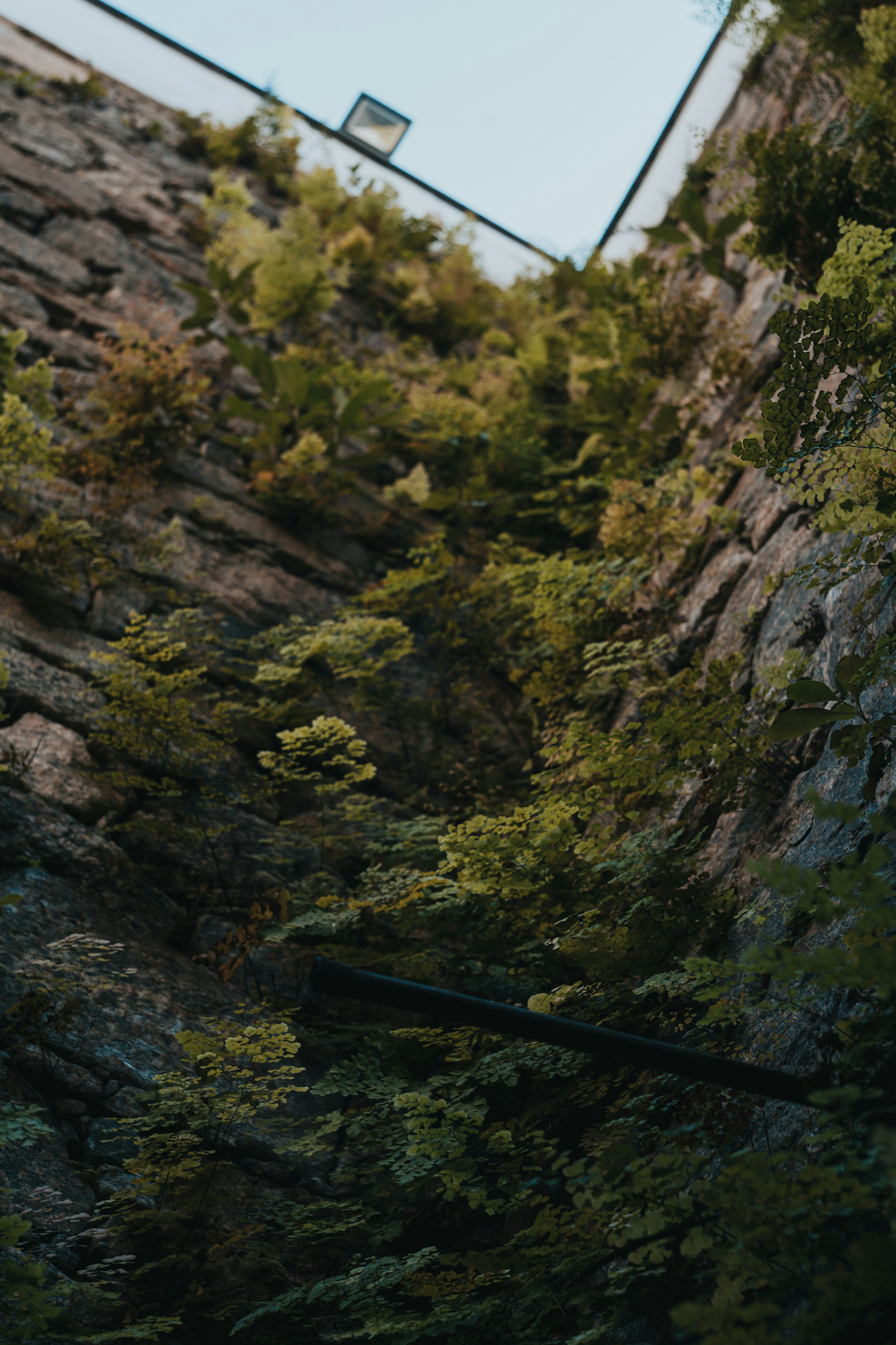 Photo by marcospradobr