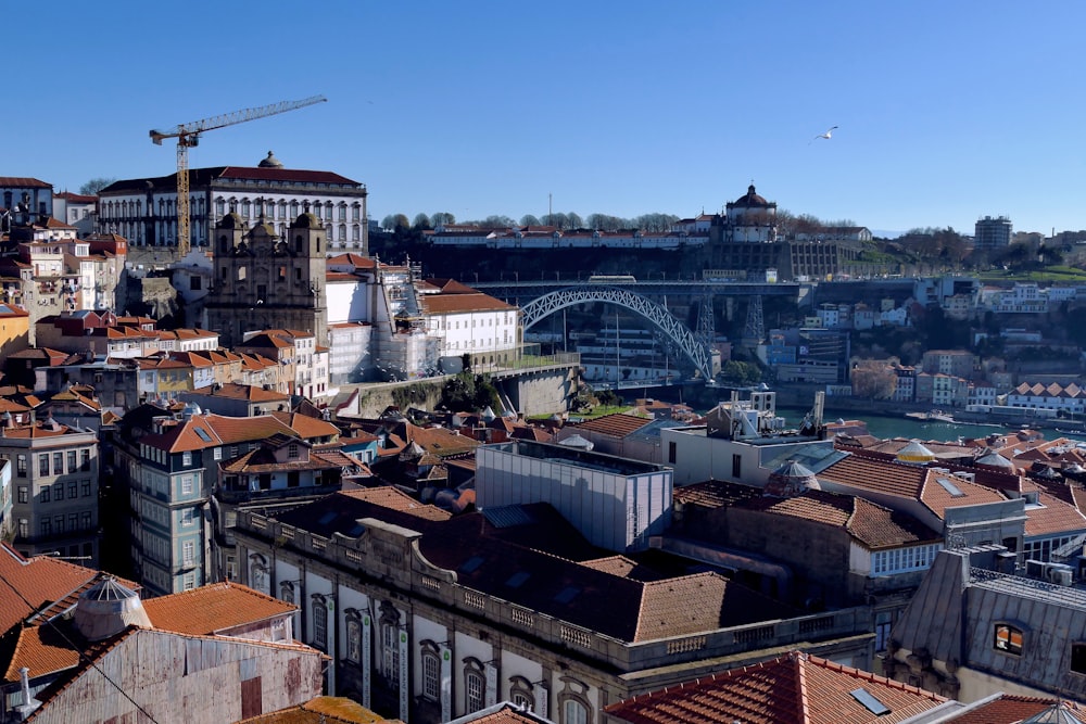 brown and white concrete buildings under blue sky during daytime