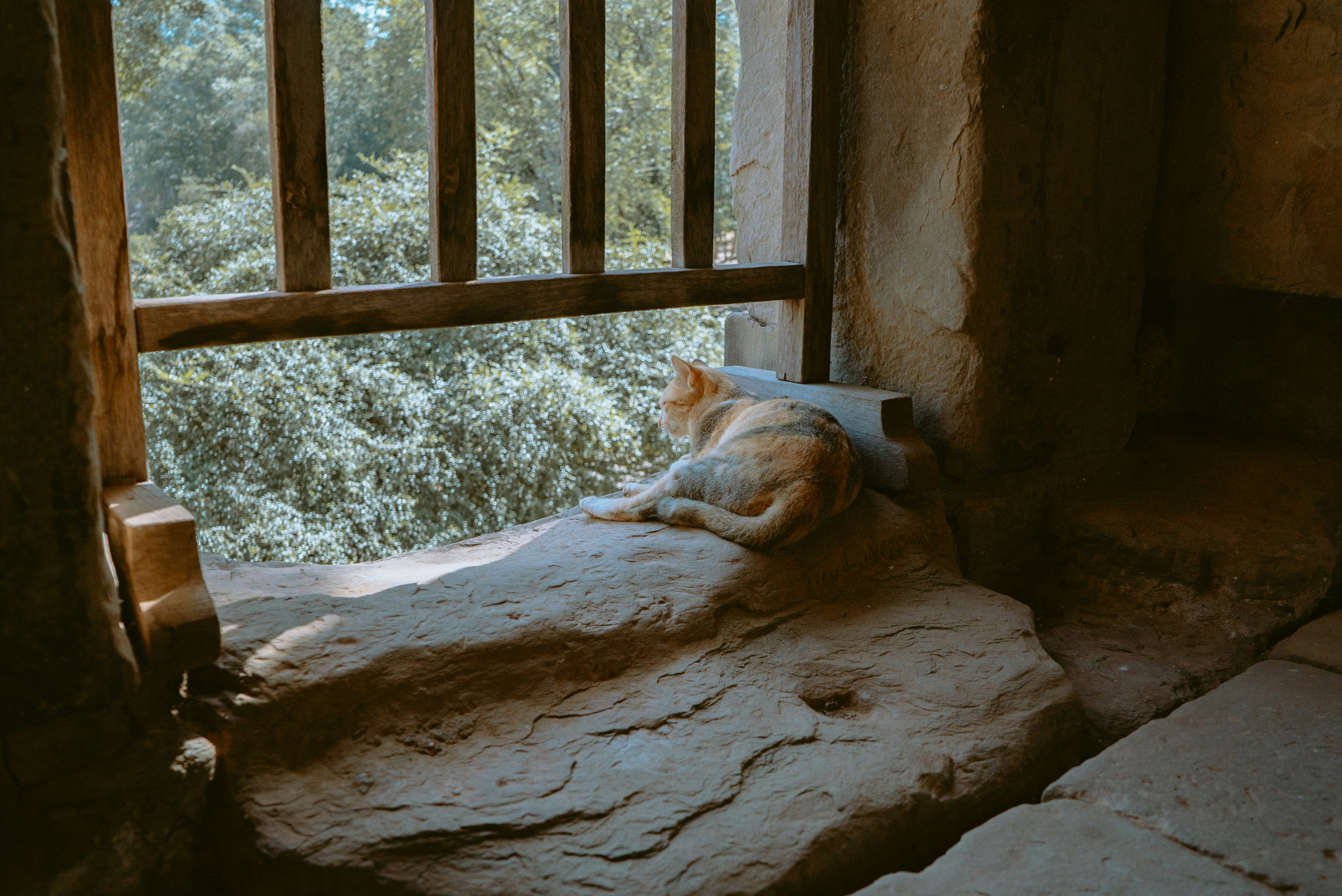 Care Tips Based on Sound Sensitivity