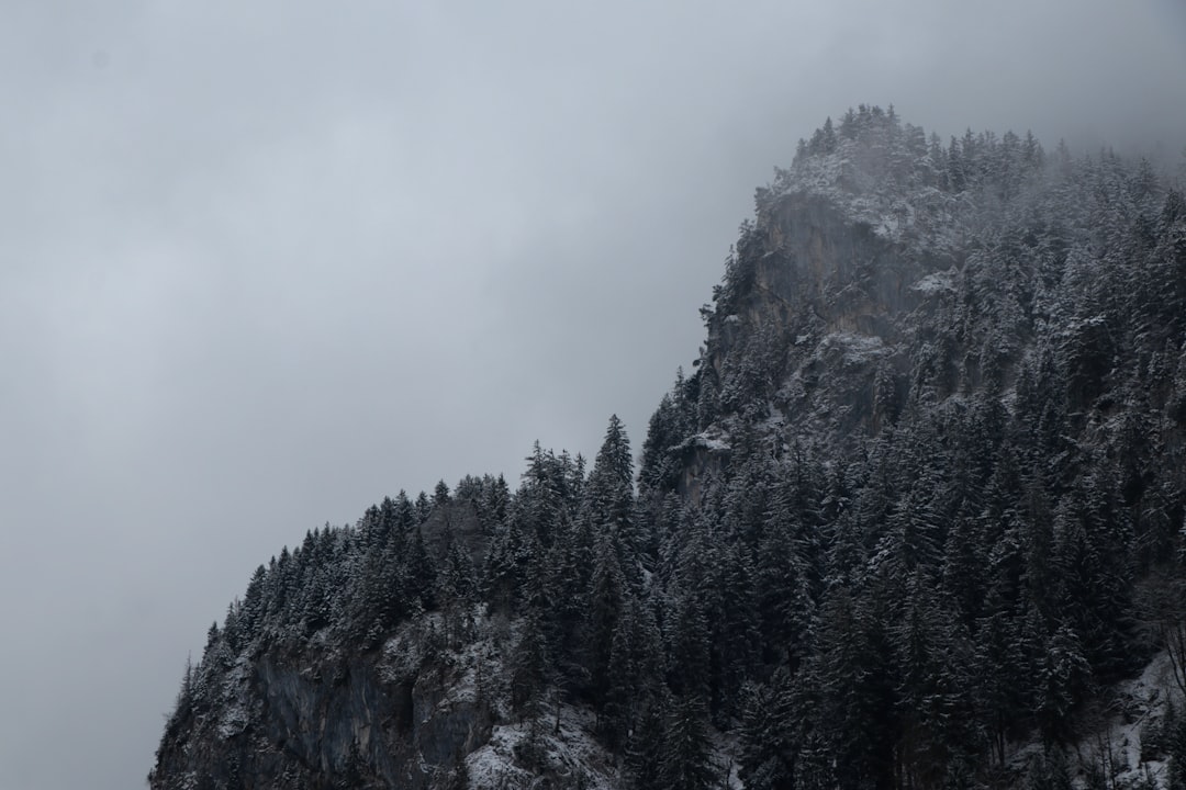 travelers stories about Hill station in Neuschwanstein Castle, Germany