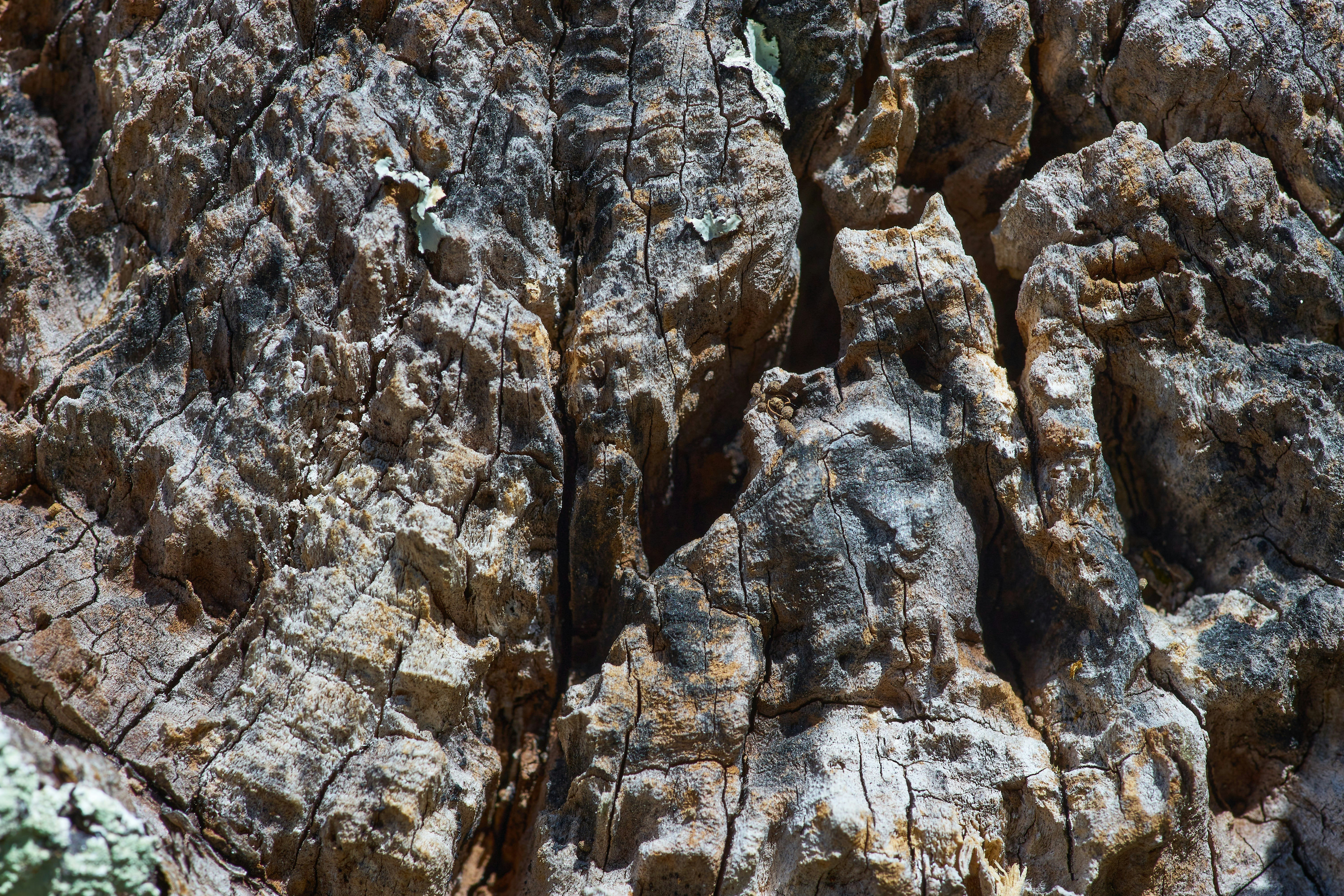 The same thing happened in august what trend keeps repeating itself