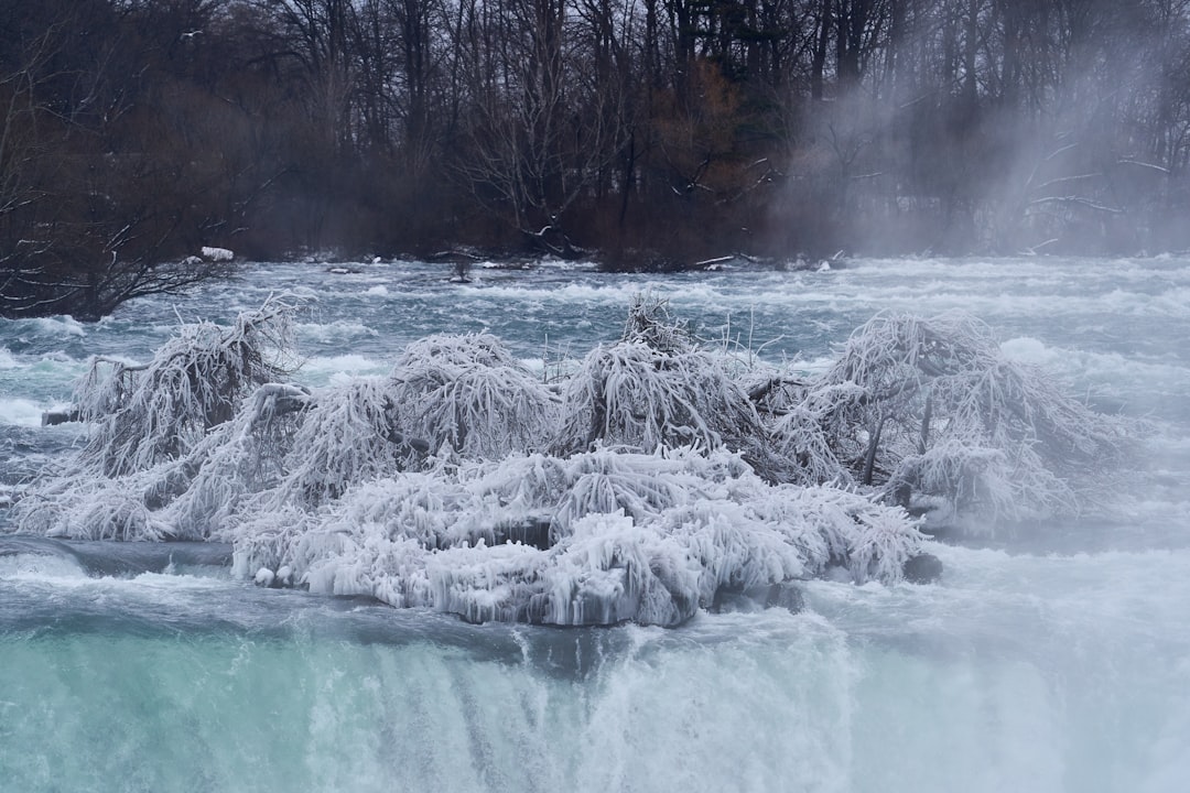 white snow on green body of water