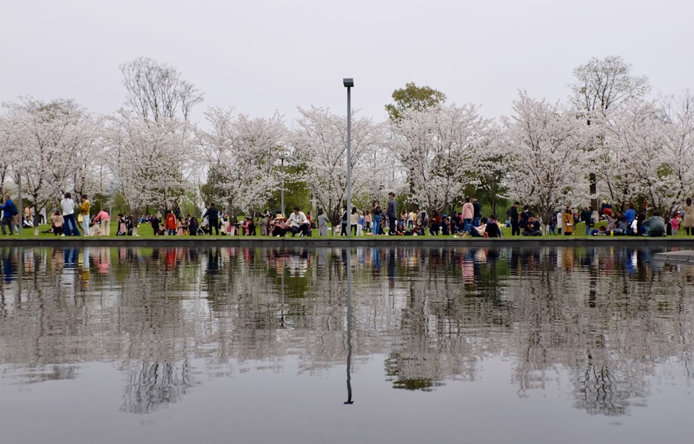 people sitting on bench near body of water during daytime