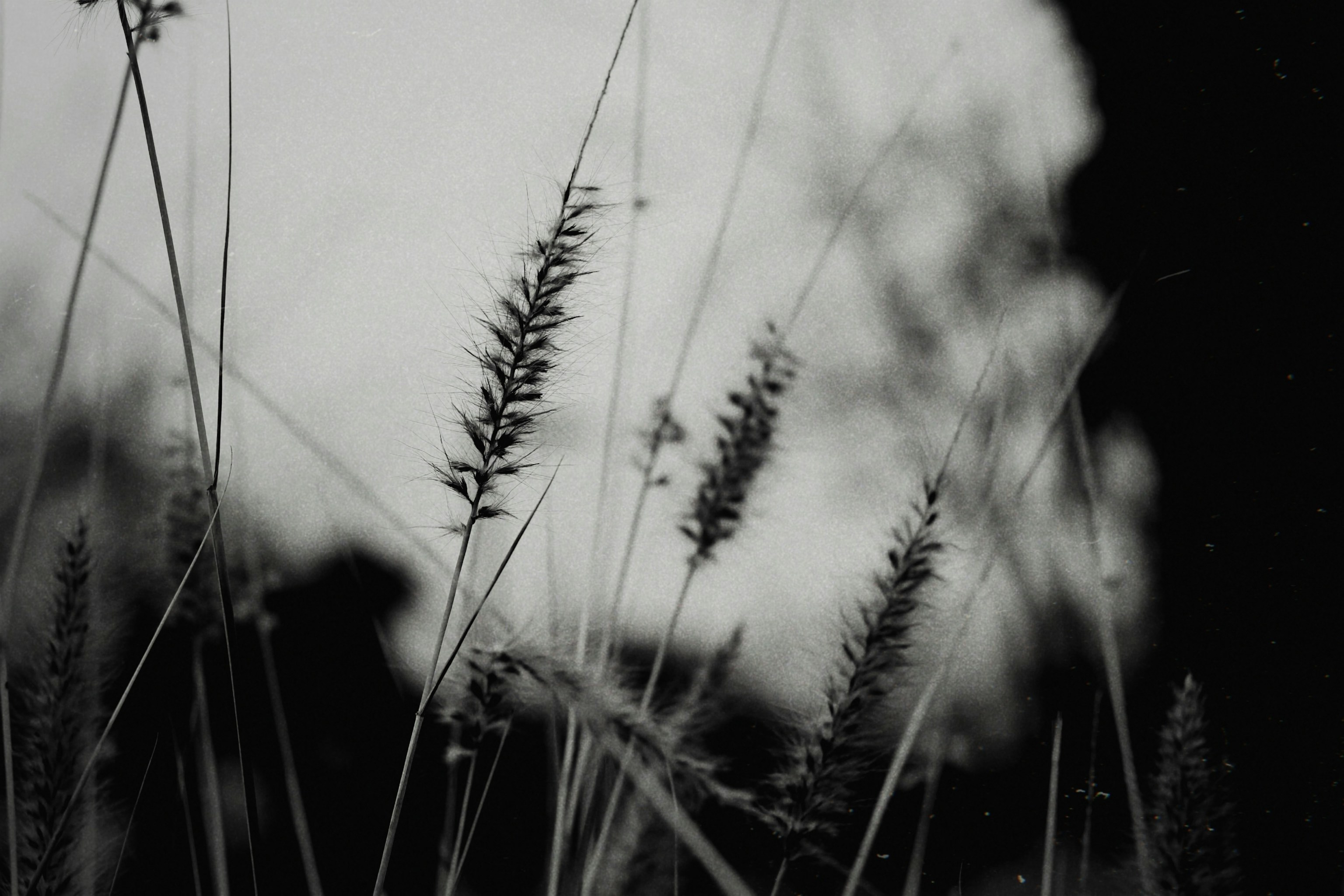 Photo by nathanareboucas