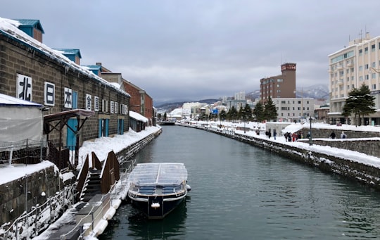 white and blue boat on water near brown concrete building during daytime in Otaru Canal Japan