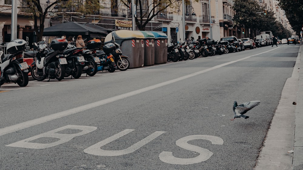 people walking on pedestrian lane during daytime