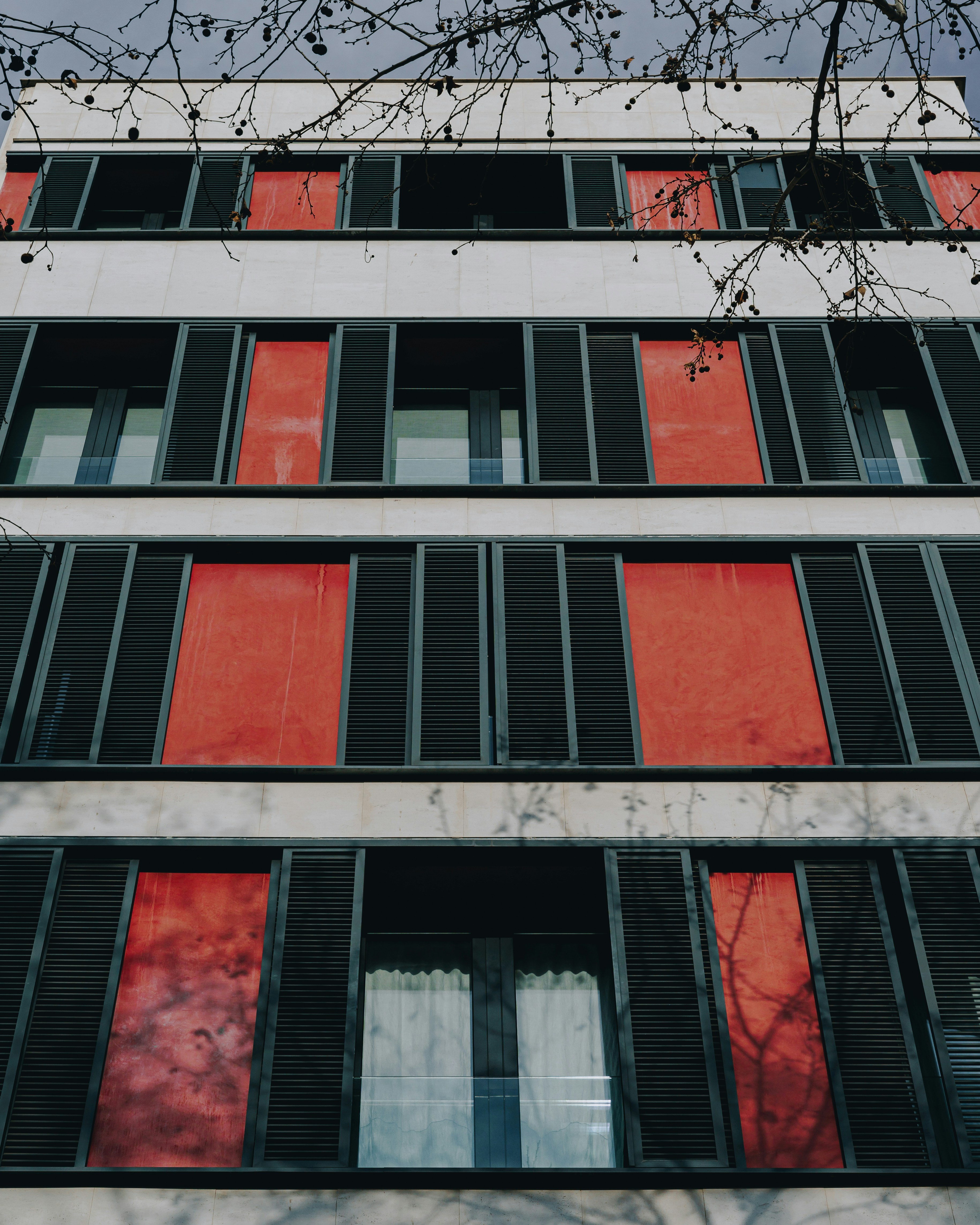 Photo by peterplashkin