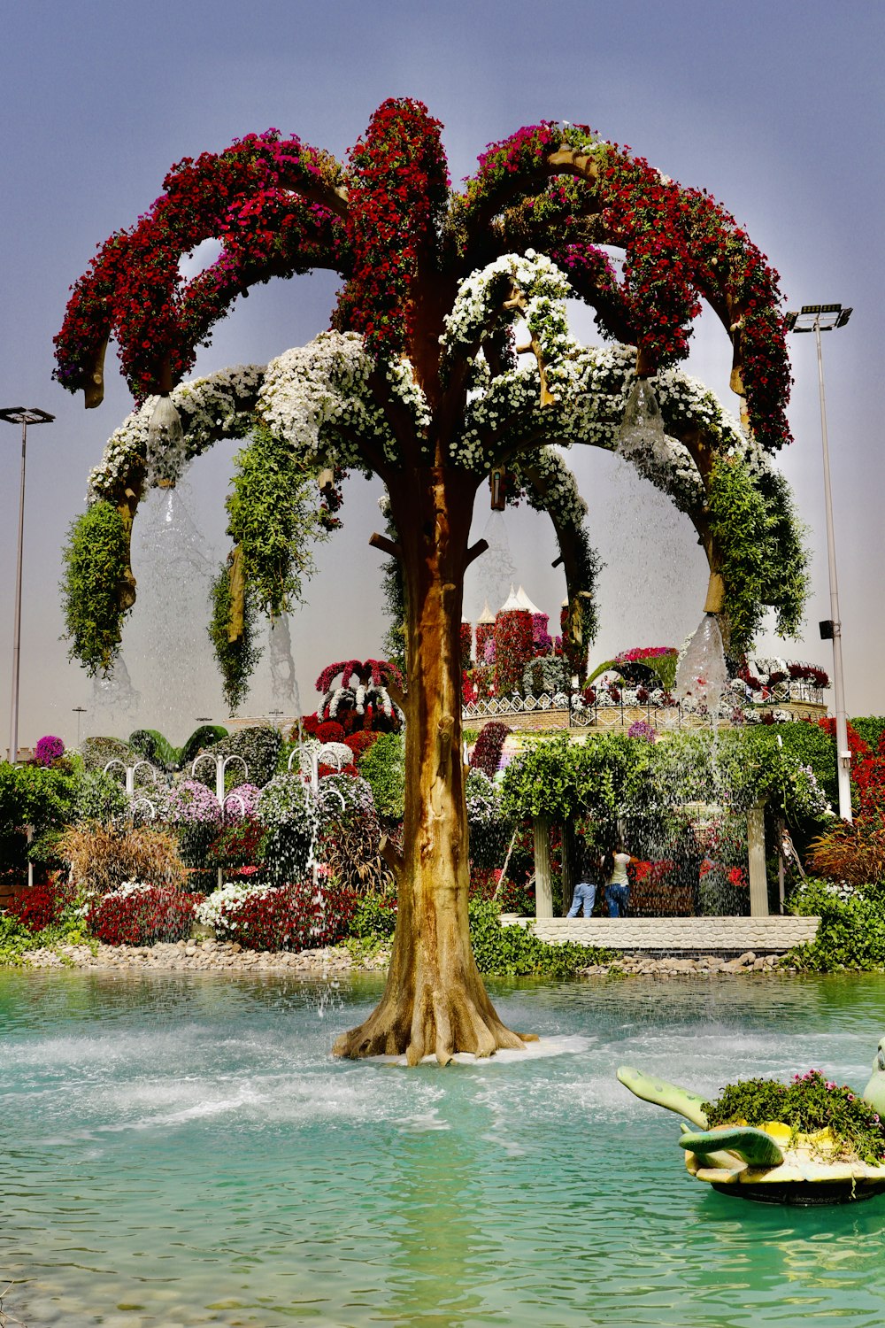 Árbol marrón y rojo con hojas verdes en campo de hierba verde