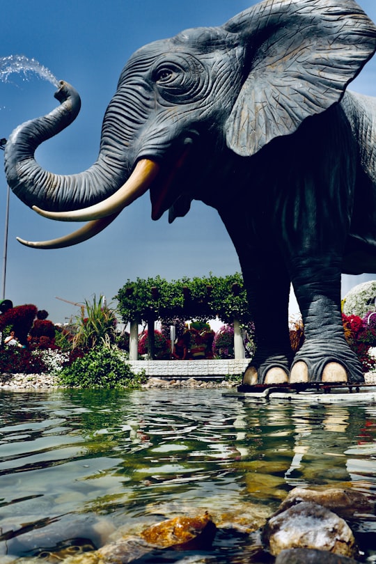 elephant statue on water near flowers and trees during daytime in Miracle Garden - Dubai - United Arab Emirates United Arab Emirates