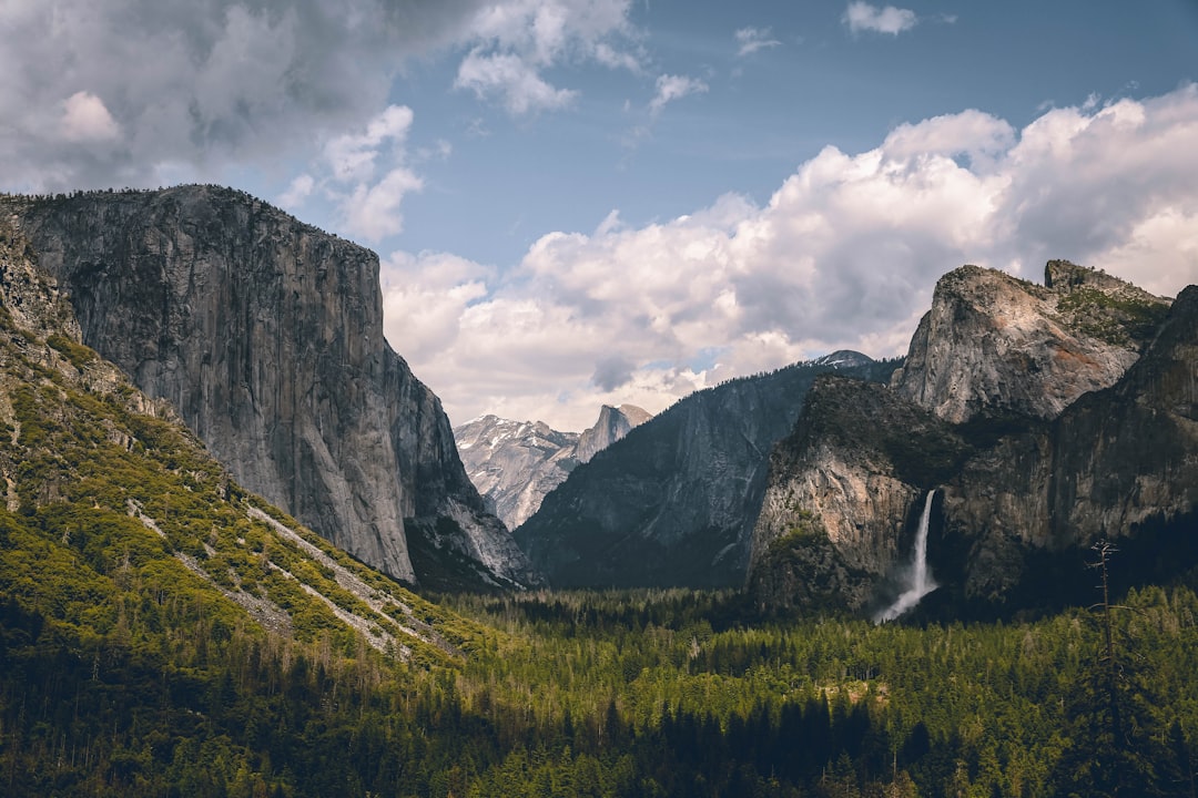 Yosemite's Summer 2025 Crisis What Travelers