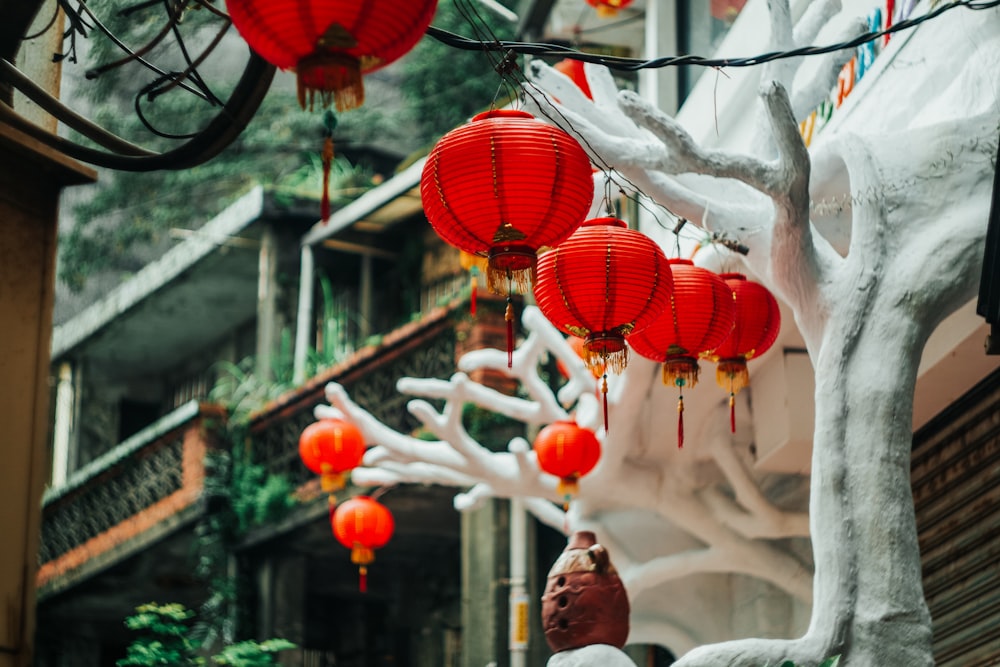 red round lanterns hanging on white metal fence during daytime