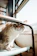 A cozy cat wearing a soft, stylish sweater sitting by a sunny window.