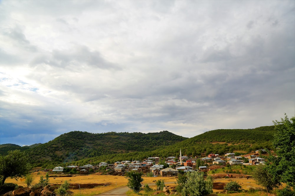 houses on green grass field under cloudy sky during daytime