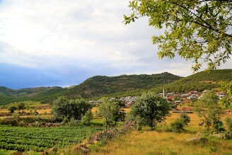 A peaceful rural landscape features a small village nestled among rolling hills. Lush green fields extend across the foreground, dotted with trees. A mix of sunlight and clouds creates a serene atmosphere. The village buildings are mostly traditional with a mosque visible in the center.