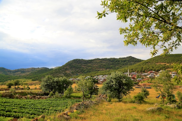 A peaceful village scene near Nawada with a small cafe and greenery in the background.