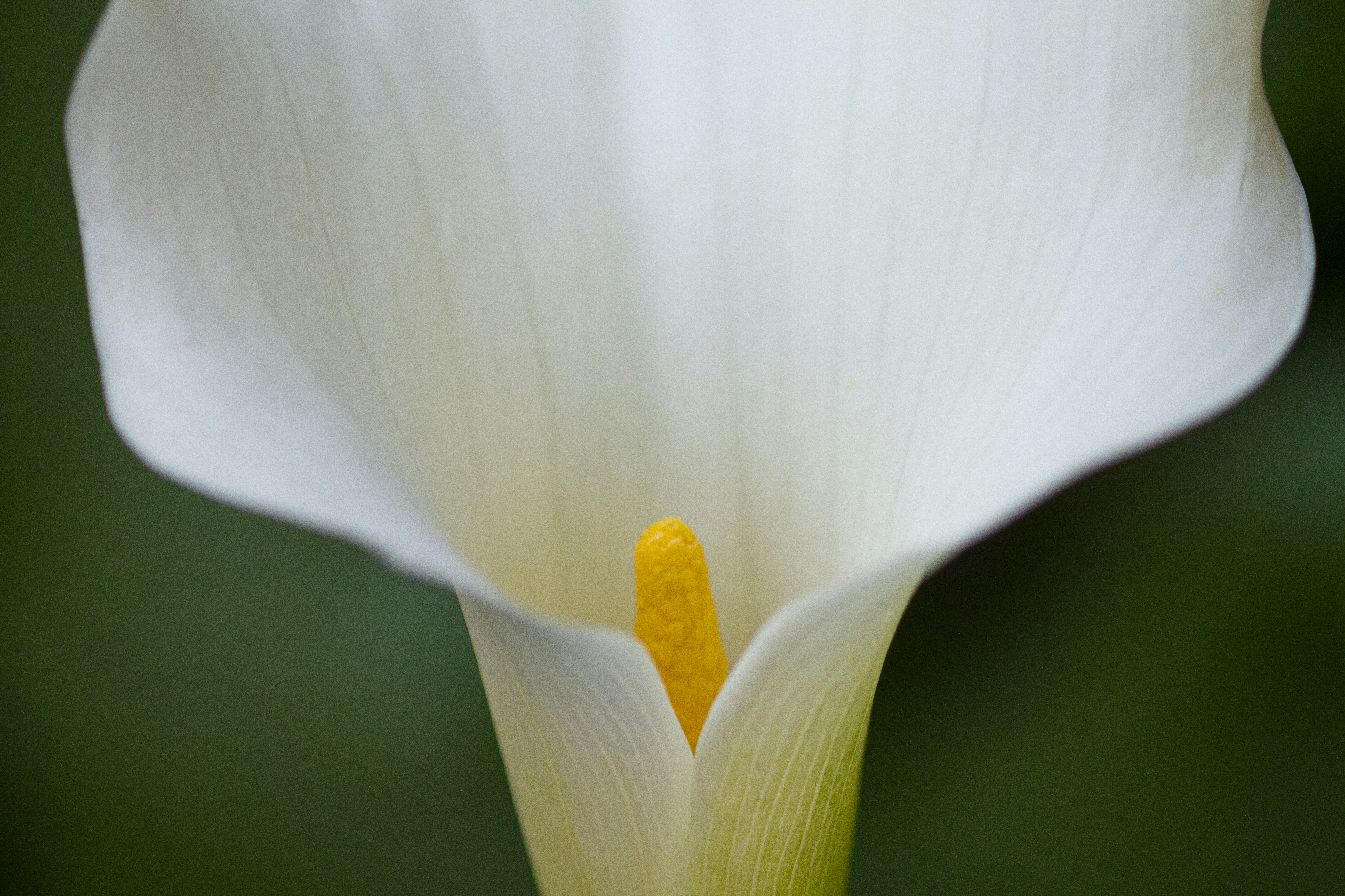 Photo by rocinante_11