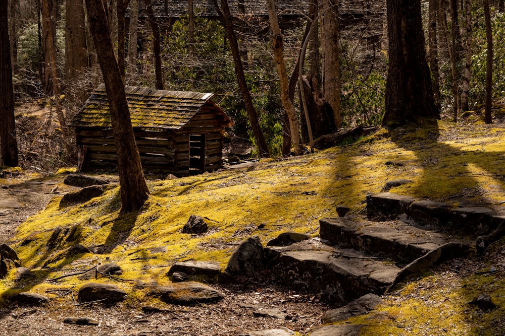 숲속의 갈색 목조 주택
