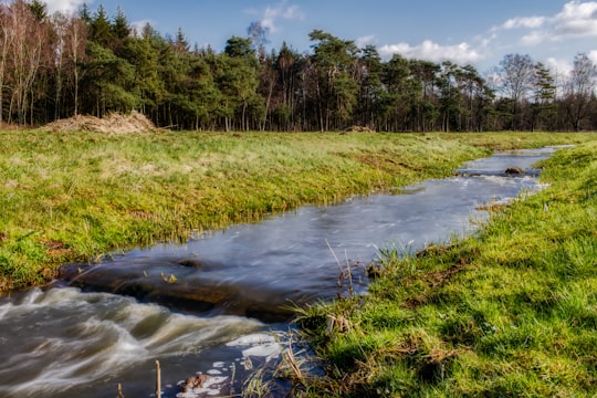 green grass field near river under blue sky during daytime in Deventer Netherlands