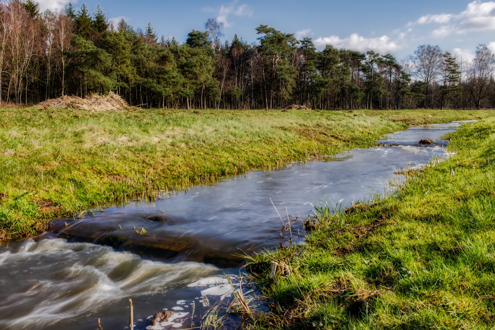 green grass field near river under blue sky during daytime