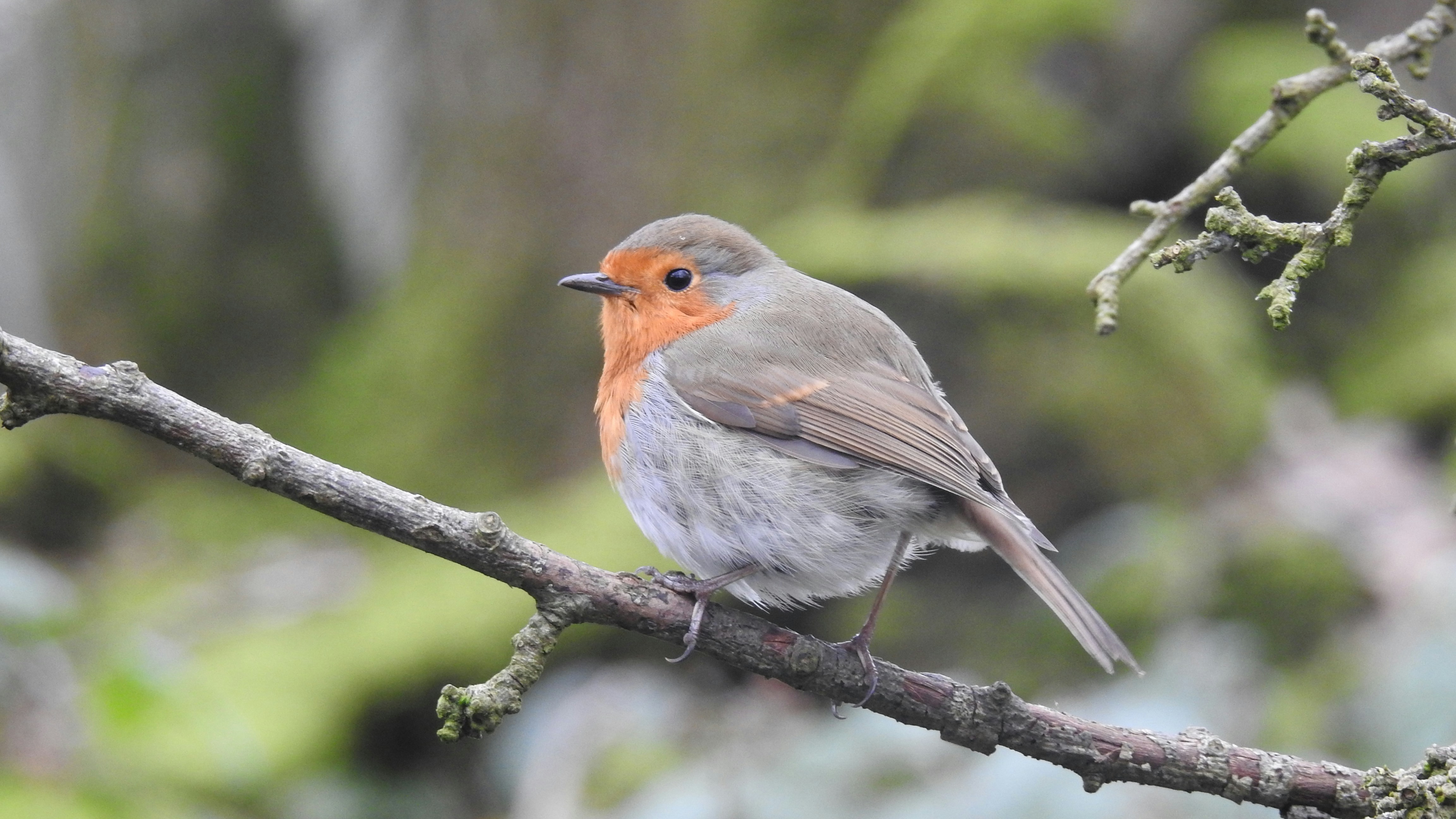 Photo by ewankennedy