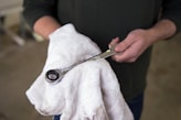 person holding silver and black scissors