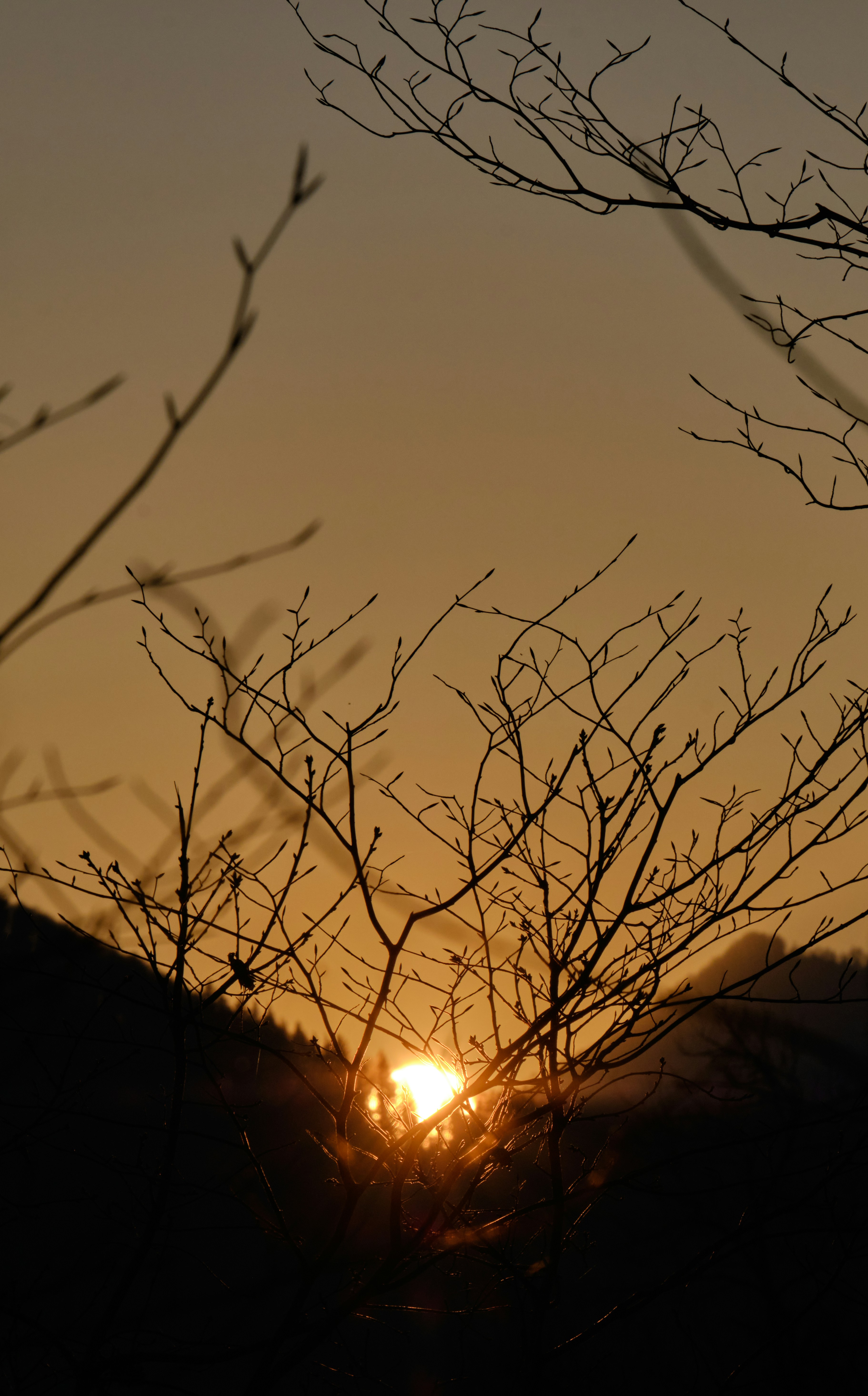 Photo by kristjankotar