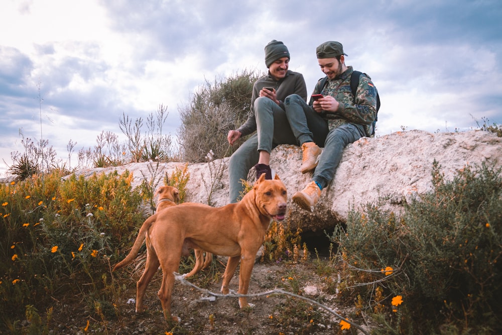 homme et femme assis à côté d’un chien brun à poil court pendant la journée