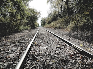 A set of railway tracks stretches into the distance, surrounded by dense foliage and fallen leaves. The ambiance is serene with the sun filtering through the trees, casting dappled shadows on the tracks.