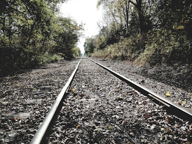 A set of railway tracks stretches into the distance, surrounded by dense foliage and fallen leaves. The ambiance is serene with the sun filtering through the trees, casting dappled shadows on the tracks.